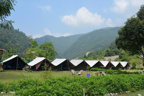 jungle retreat