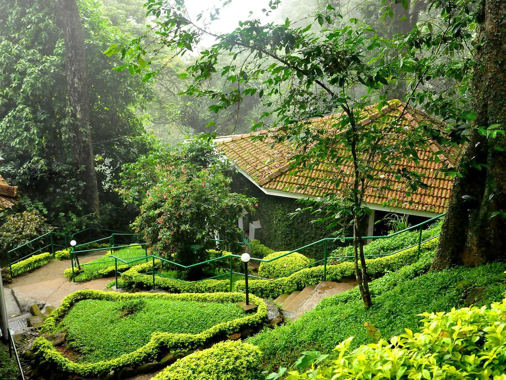 The Tall Trees Honeymoon Resorts in Munnar
