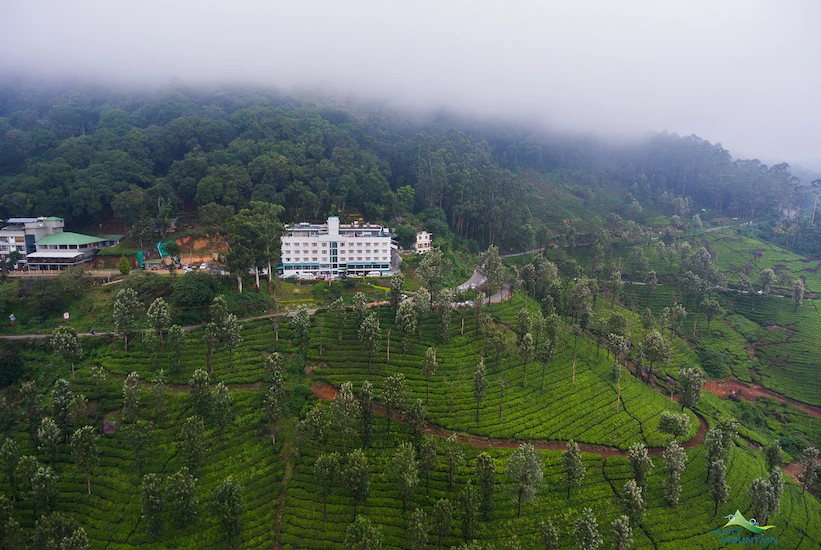 Misty mountain resort- 10 Best Honeymoon Resorts In Munnar