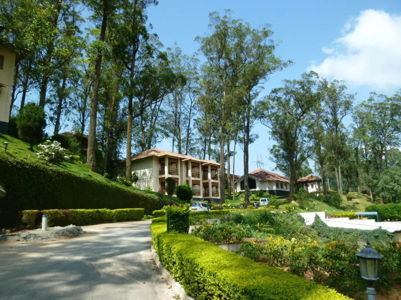 Tea county