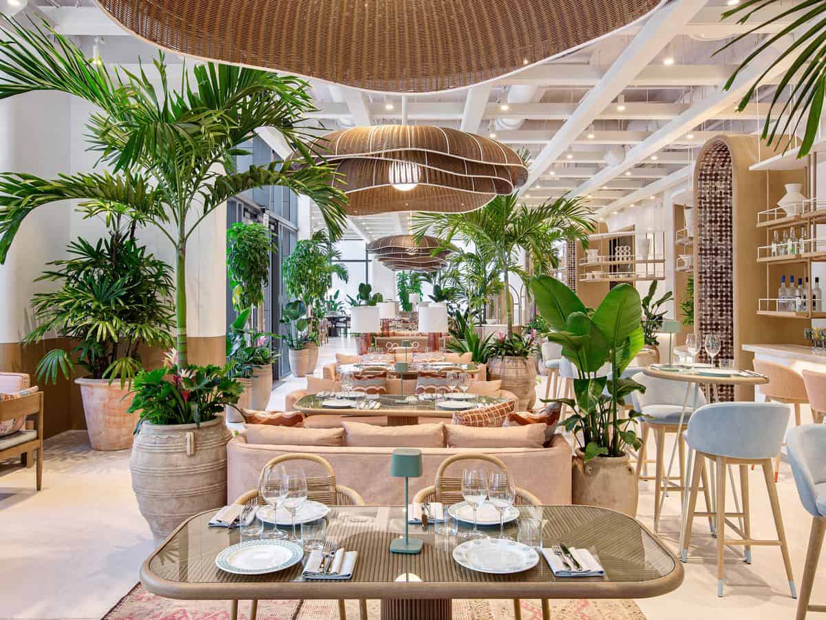 The Coconut Grove