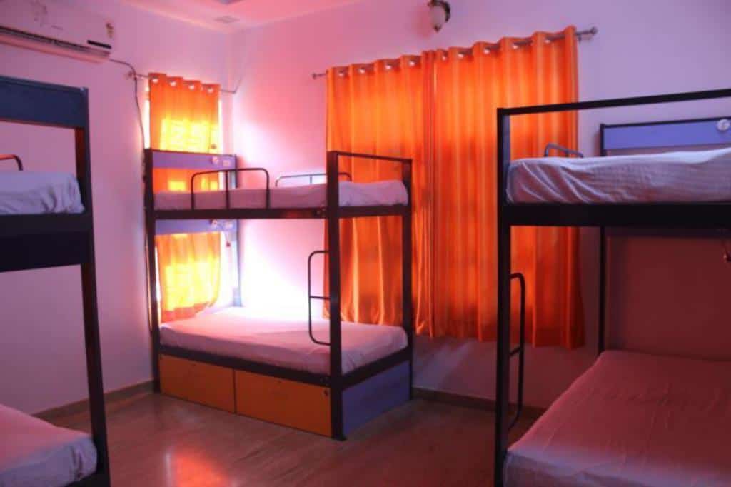 backpacker panda udaipur