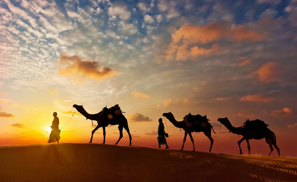 desert safri