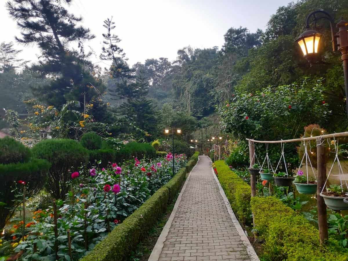 The Brahmaputra Jungle Resort