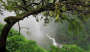 kanakeshwar forest alibaug