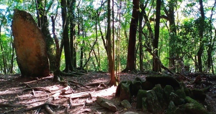 mawphlang sacred groove in shillong