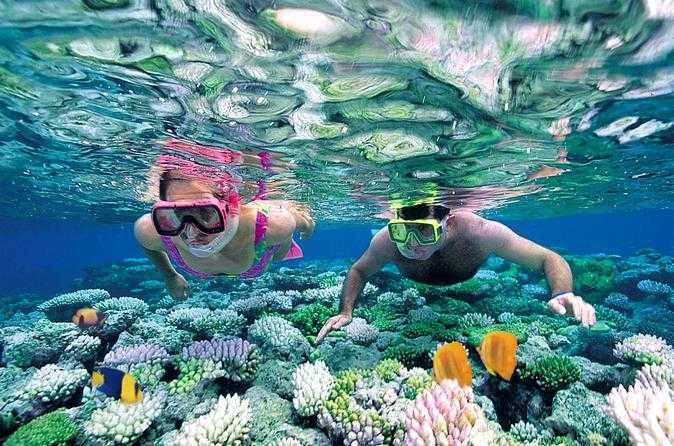 snorkelling