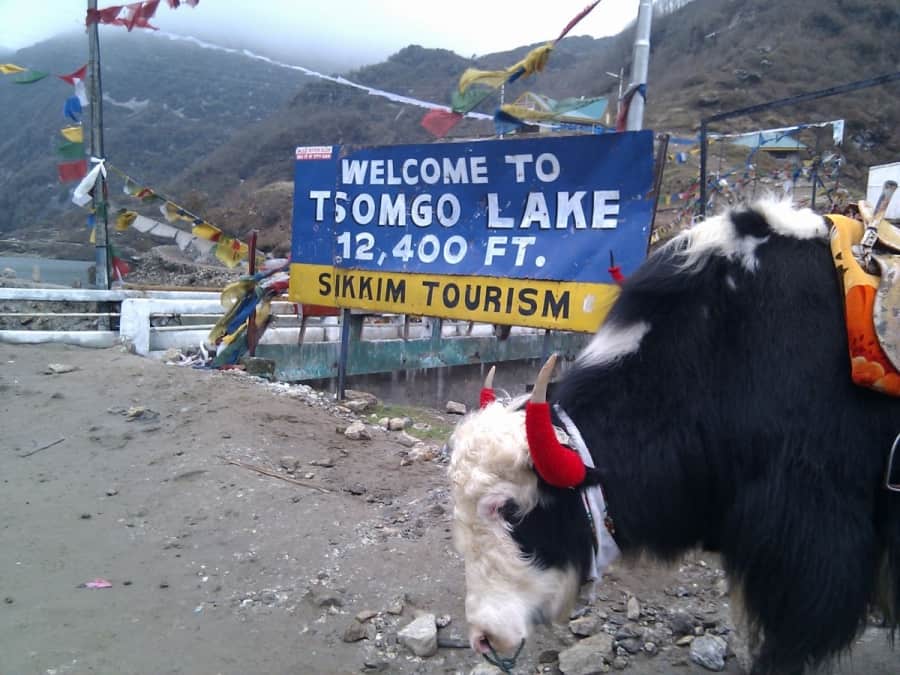 tsomgo lake