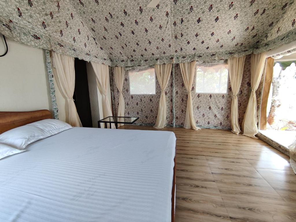 Roy’s Nature Nest in malshej