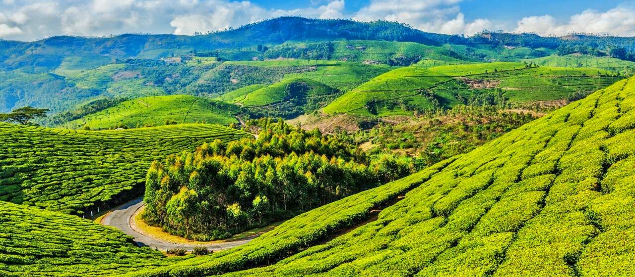best things to do in coonoor