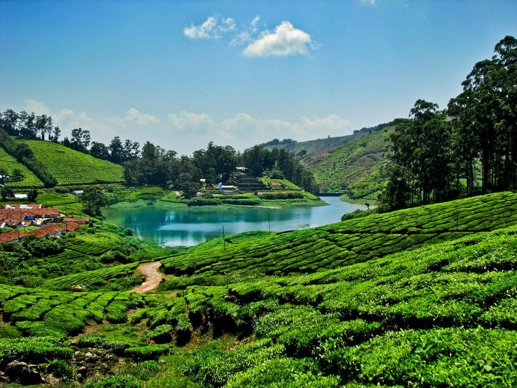 best things to do in yelagiri