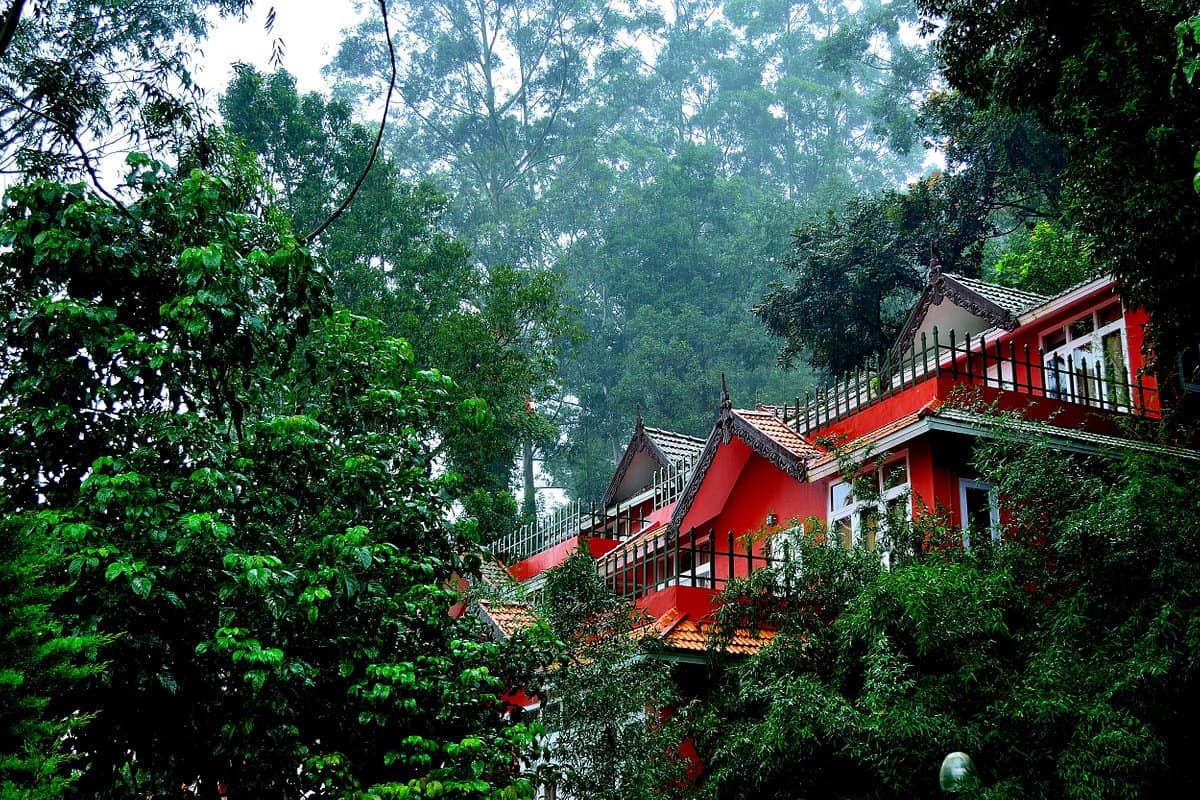 Tea Valley Resort