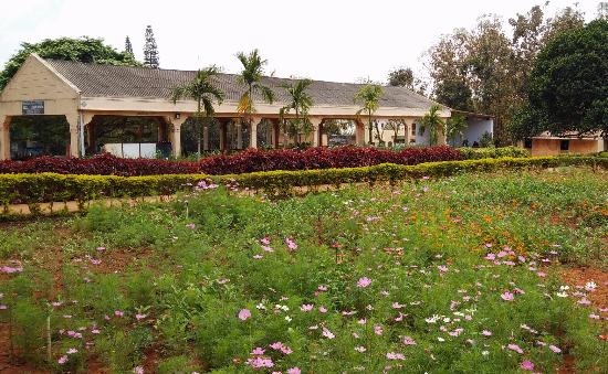 government herbal farm