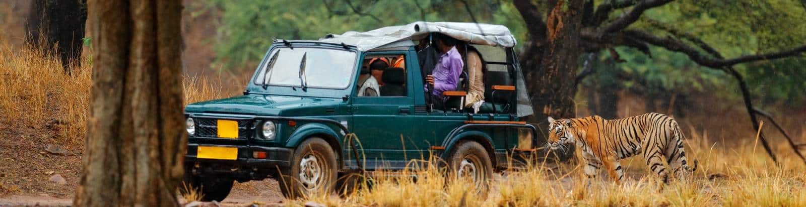 jeep safari in ranthambore