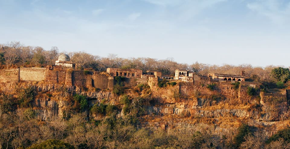 sawai madhopur ranthambore