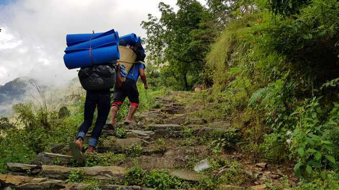 trekking in kasauli