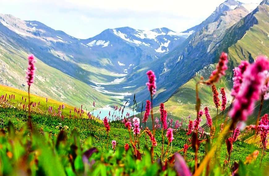 valley of flowers kashmir k2k