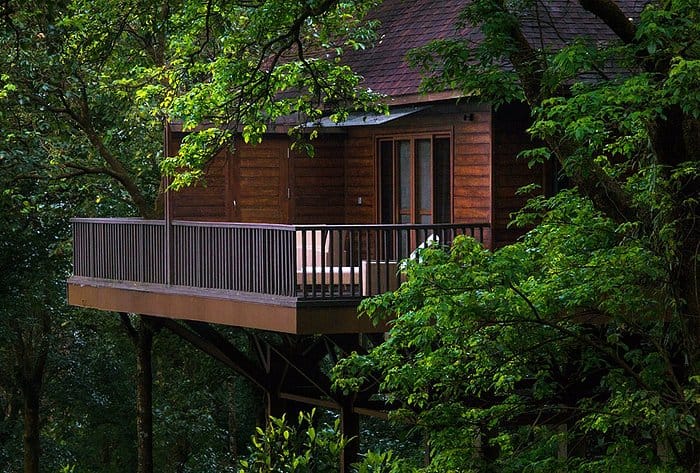The Tamara Coorg