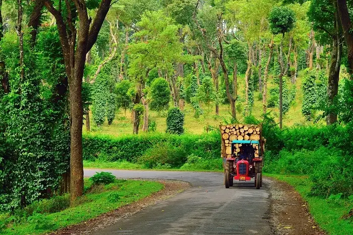 Coorg Road trip