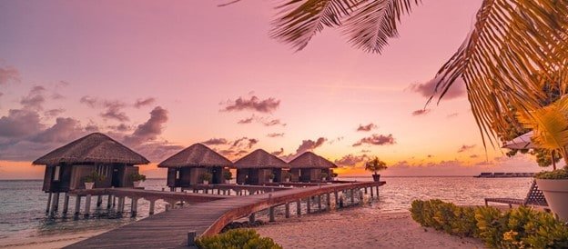 Vivanta by Taj – Malabar, Kerala Indulge in the luxury and serenity of a South Indian resort with a private pool, ocean view, and lush green forests. Escape to a paradise where nature and comfort collide