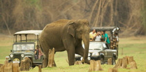 Road Trip from Bangalore to Wayanad