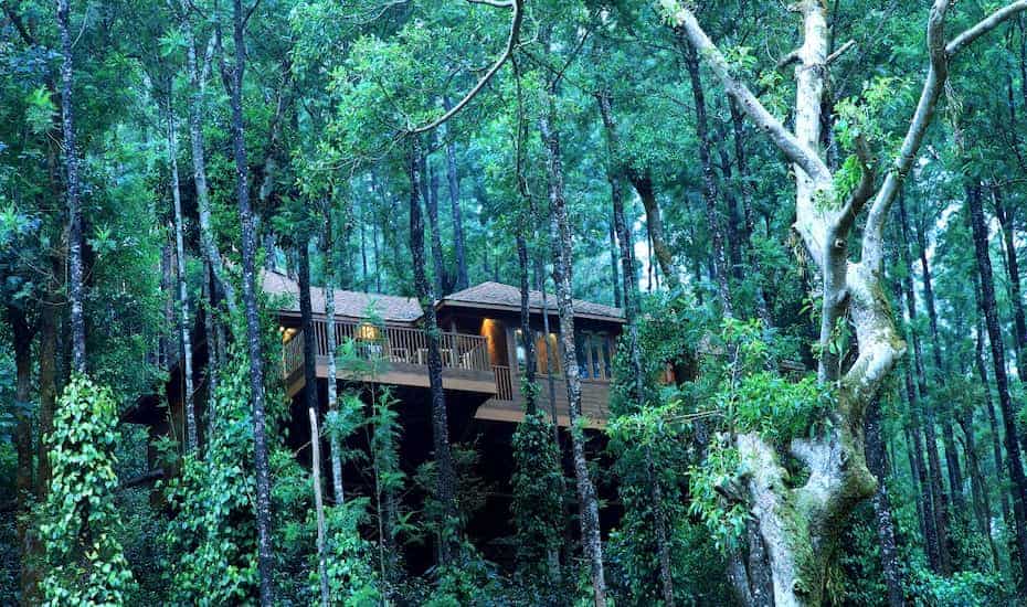 Coorg